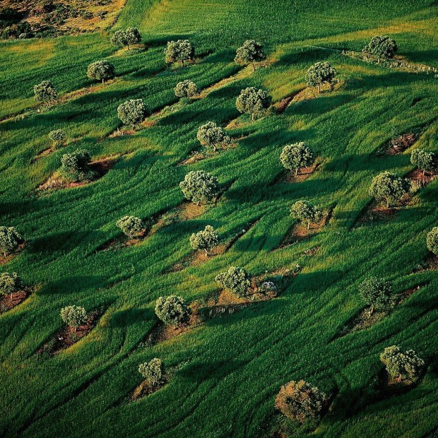 YANN ARTHUS-BERTRAND