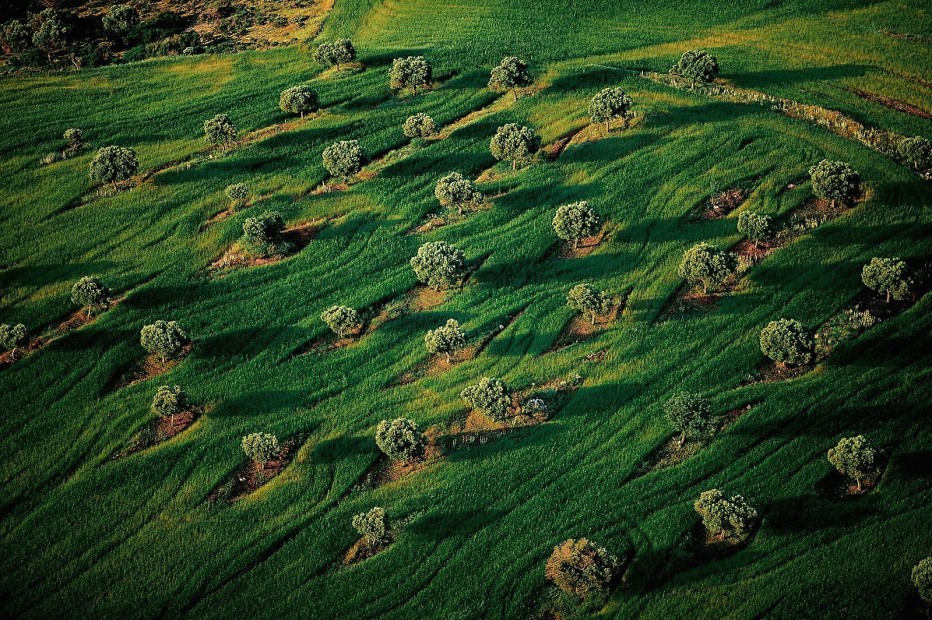 YANN ARTHUS-BERTRAND