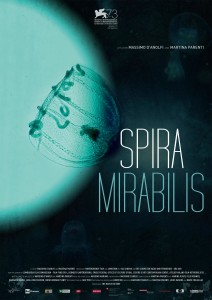 2016_54_85_Spira Mirabilis